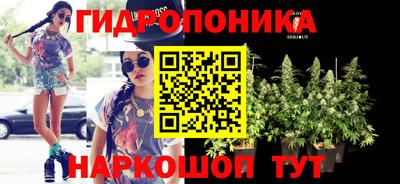 прущие грибы Братск