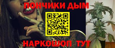 прущие грибы Братск