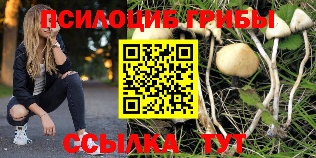 Галлюциногенные грибы GOLDEN TEACHER  где купить наркоту  Губаха  Вход с VPN 